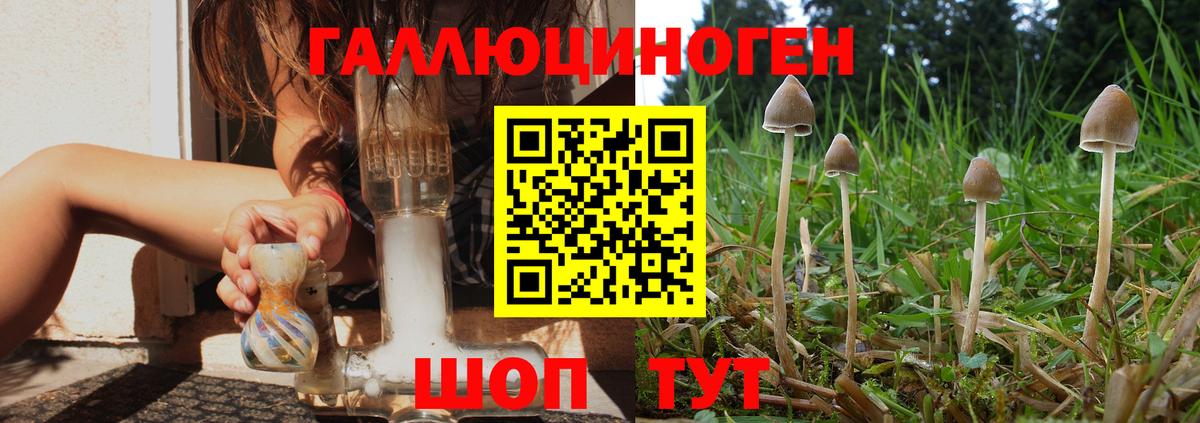 Галлюциногенные грибы Cubensis Сафоново