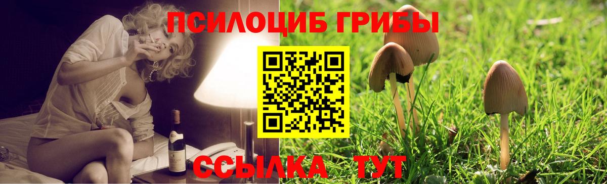 Сафоново  Галлюциногенные грибы ЛСД  Вход с VPN 
